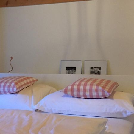 Ferienhaus Gruener Heinrich Andermatt Εξωτερικό φωτογραφία
